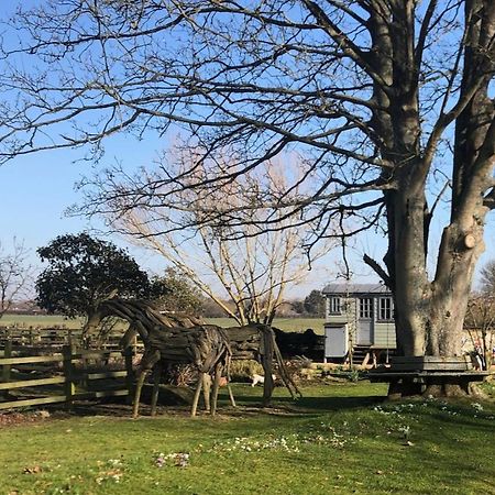 The Shepherd'S Hut @ Chichester Cottage Экстерьер фото